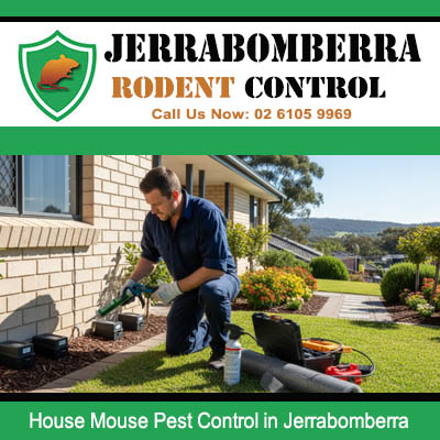 Jerrabomberra pest control technician conducting thorough outdoor inspection of home exterior and garden for house mouse entry points